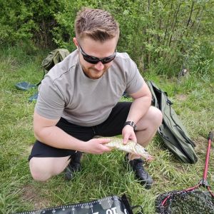Profilbild