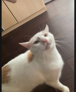 Profilbild