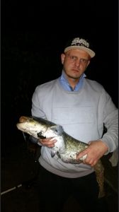 Profilbild