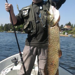 Rudiroschlaub@gmail.com