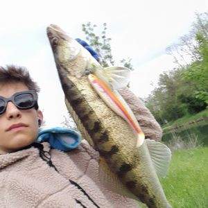 Profilbild