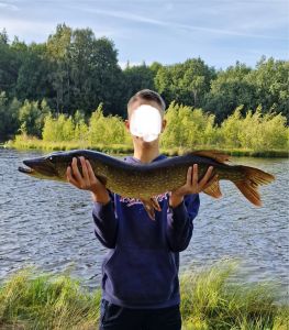 Willi Hans Werner Seifert