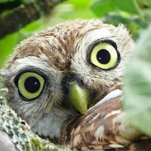 Profilbild