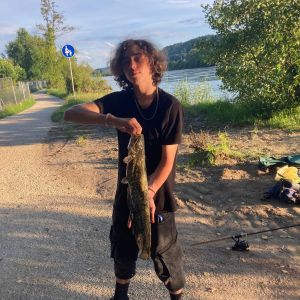 Bassking_official
