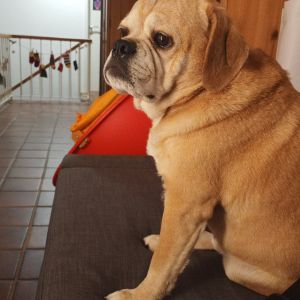 Profilbild