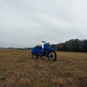 Profilbild