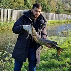 Profilbild