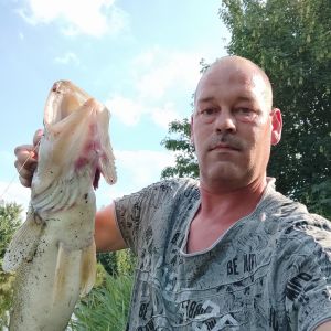 Profilbild