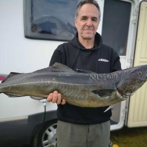 Norgeangler