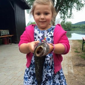 Profilbild