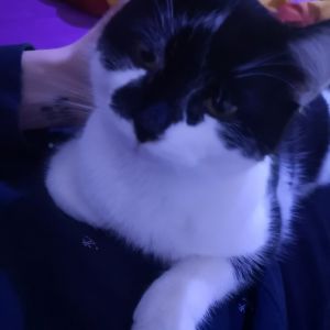 Profilbild