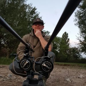 Profilbild