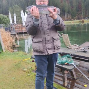 Profilbild