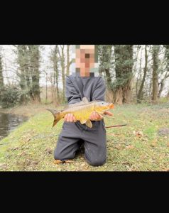 Profilbild