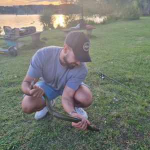 Profilbild