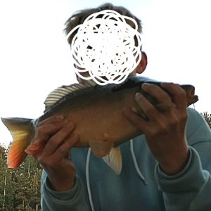 Profilbild