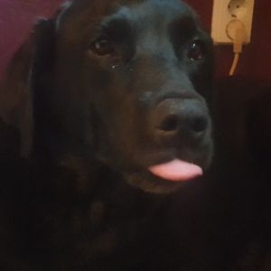 Profilbild