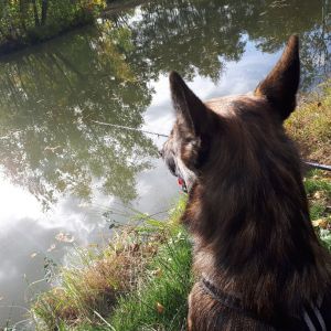 Profilbild