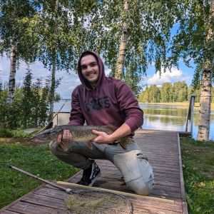 Profilbild
