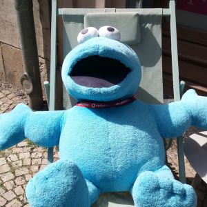 Profilbild