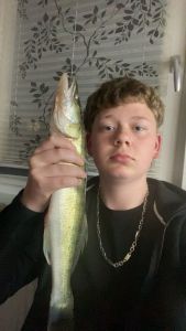 Profilbild