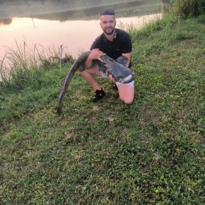 Profilbild