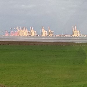 Profilbild