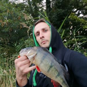 Profilbild