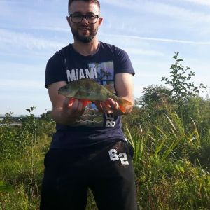 Profilbild