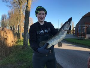 Profilbild