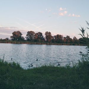 Profilbild