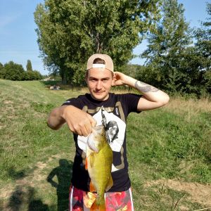 Profilbild