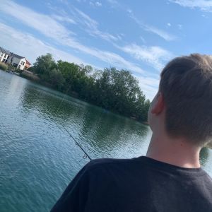 Profilbild