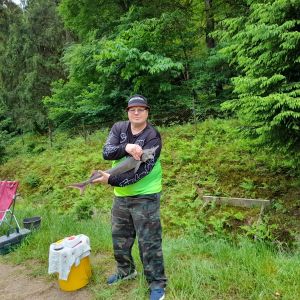 Profilbild