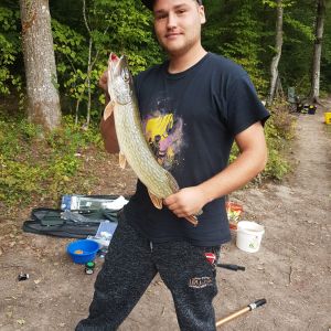 Profilbild