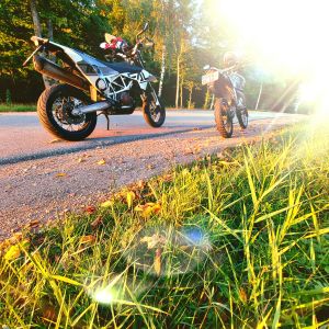 Profilbild