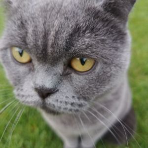 Profilbild