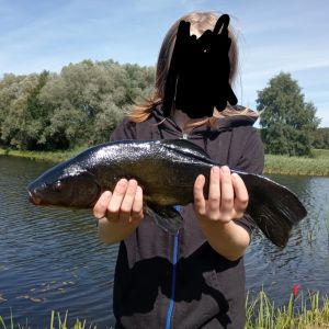 Profilbild