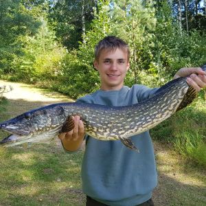 Profilbild