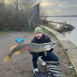 Benny S619