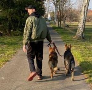 Profilbild