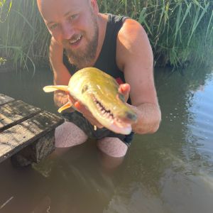 Profilbild