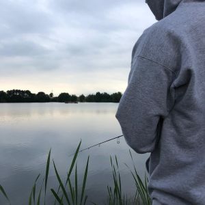 Profilbild