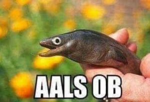 Profilbild