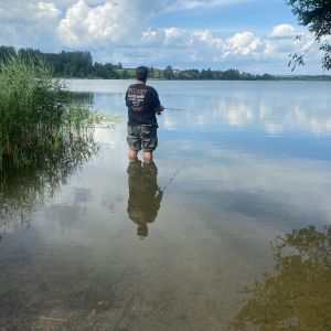 Profilbild