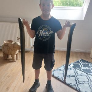 Profilbild