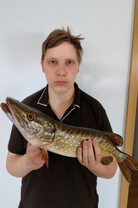 Profilbild