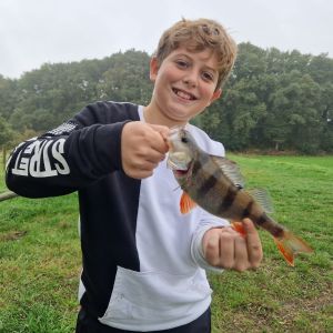 Profilbild