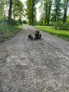 Profilbild
