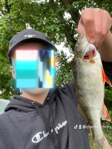 Profilbild